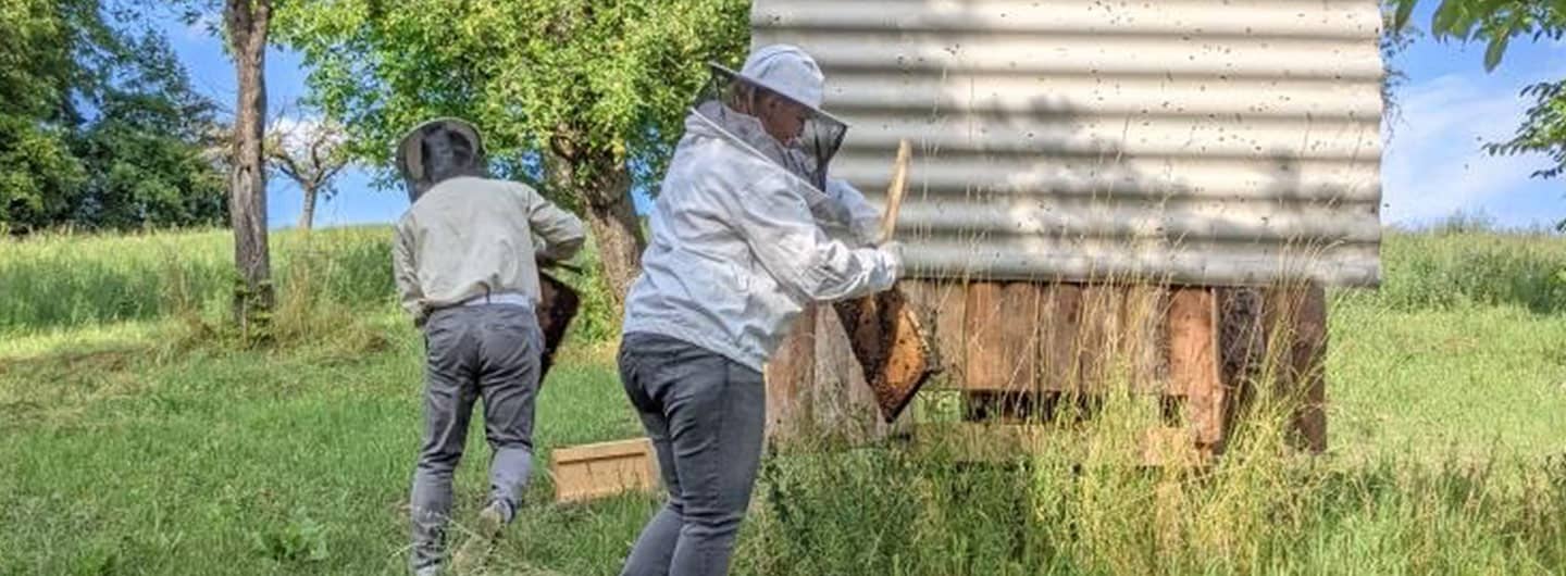 Wir ernten unseren ersten eigenen Honig in Nedensdorf.